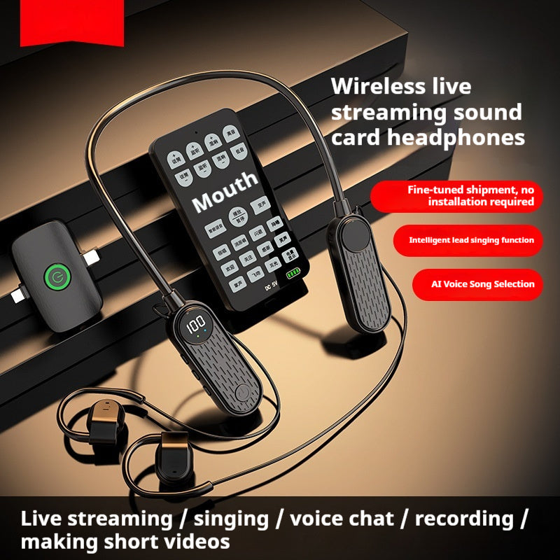 Professional Live Streaming & Singing Headphones with Noise Reduction